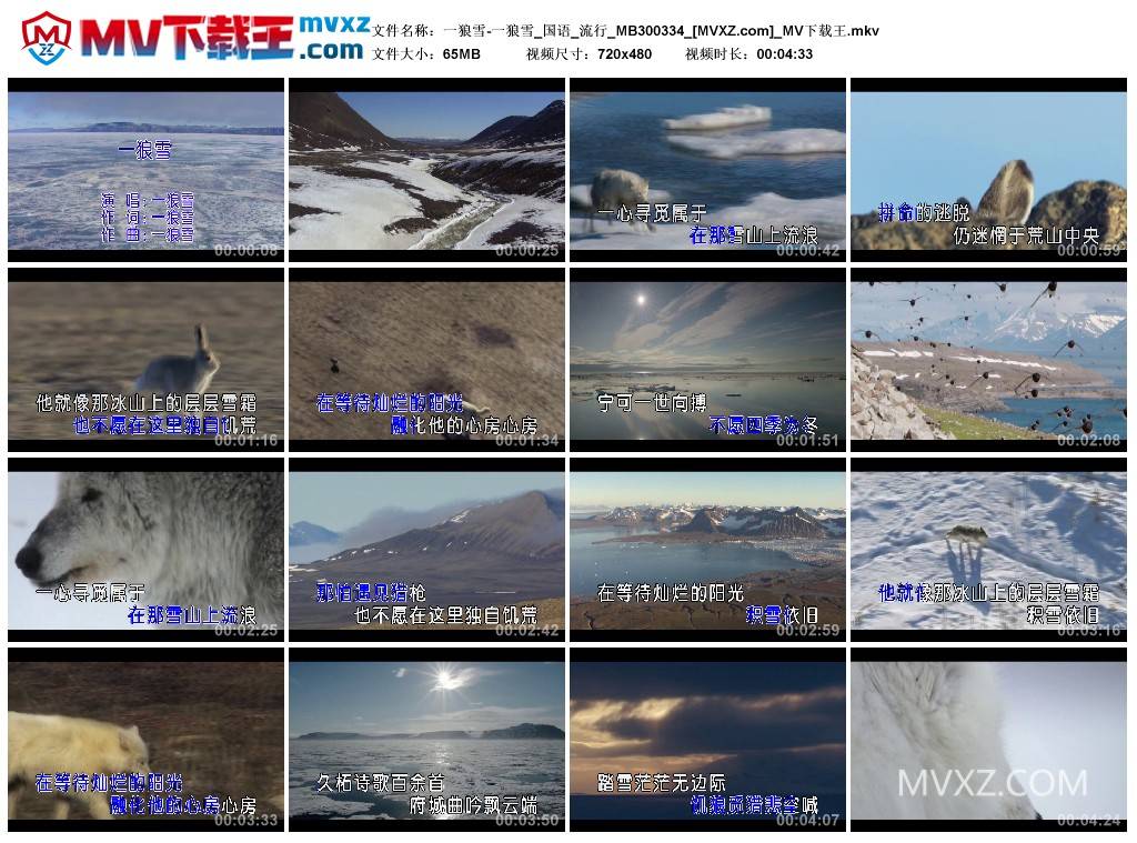 一狼雪-一狼雪_国语_流行_MB300334